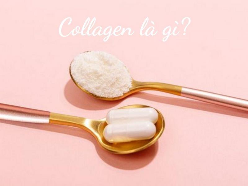 Collagen là gì? Tại sao cần phải bổ sung Collagen